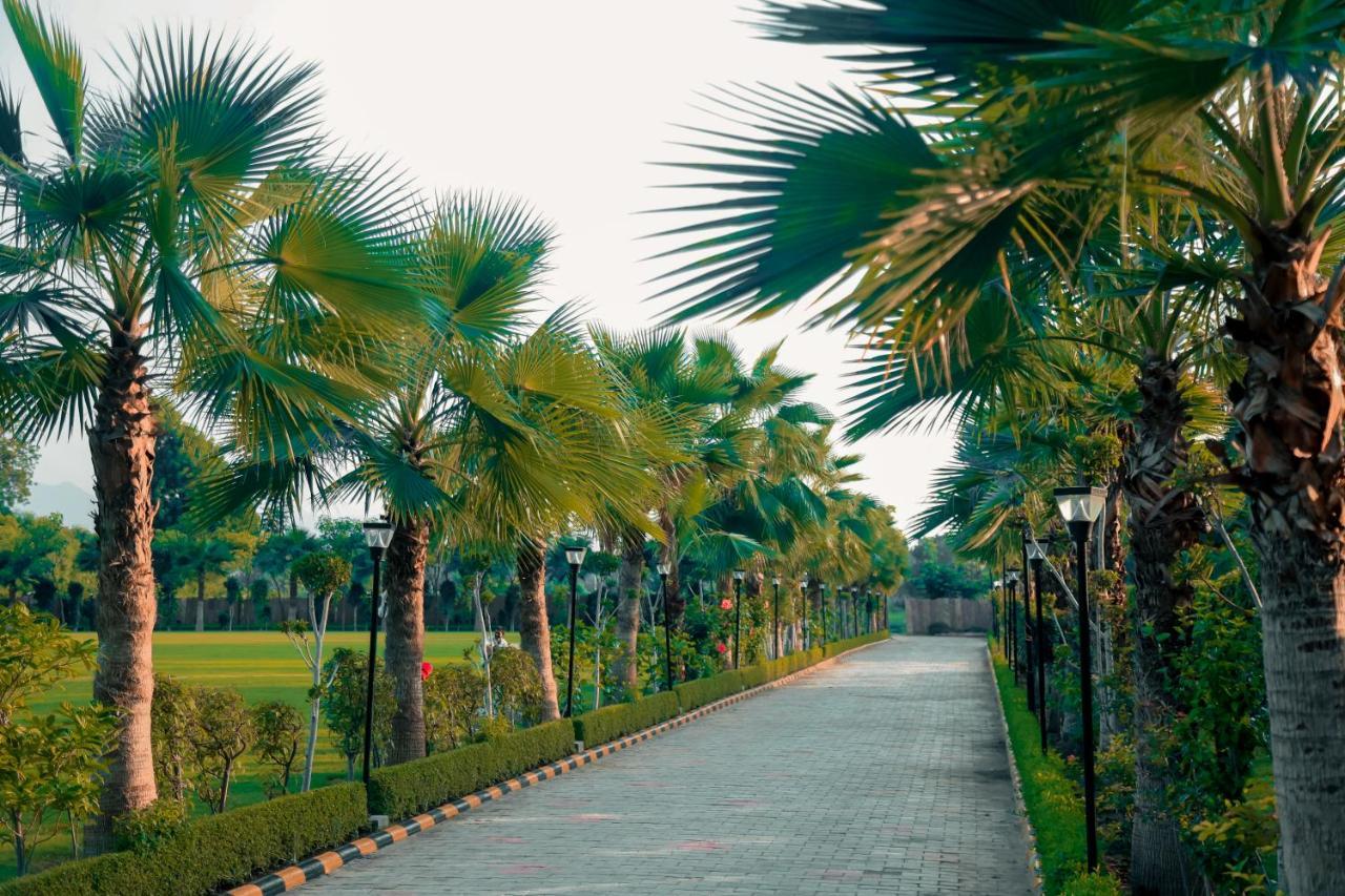 Pride Resort & Convention Center Ranakpur Near Ranakpur Dam Sādri エクステリア 写真