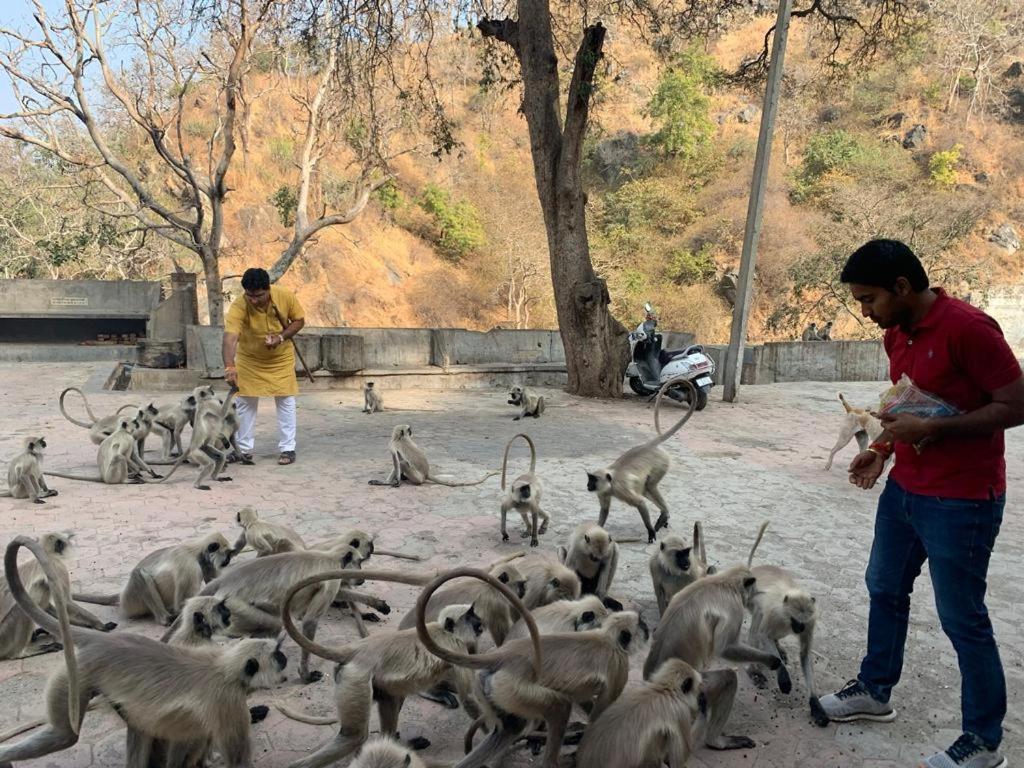 Pride Resort & Convention Center Ranakpur Near Ranakpur Dam Sādri エクステリア 写真